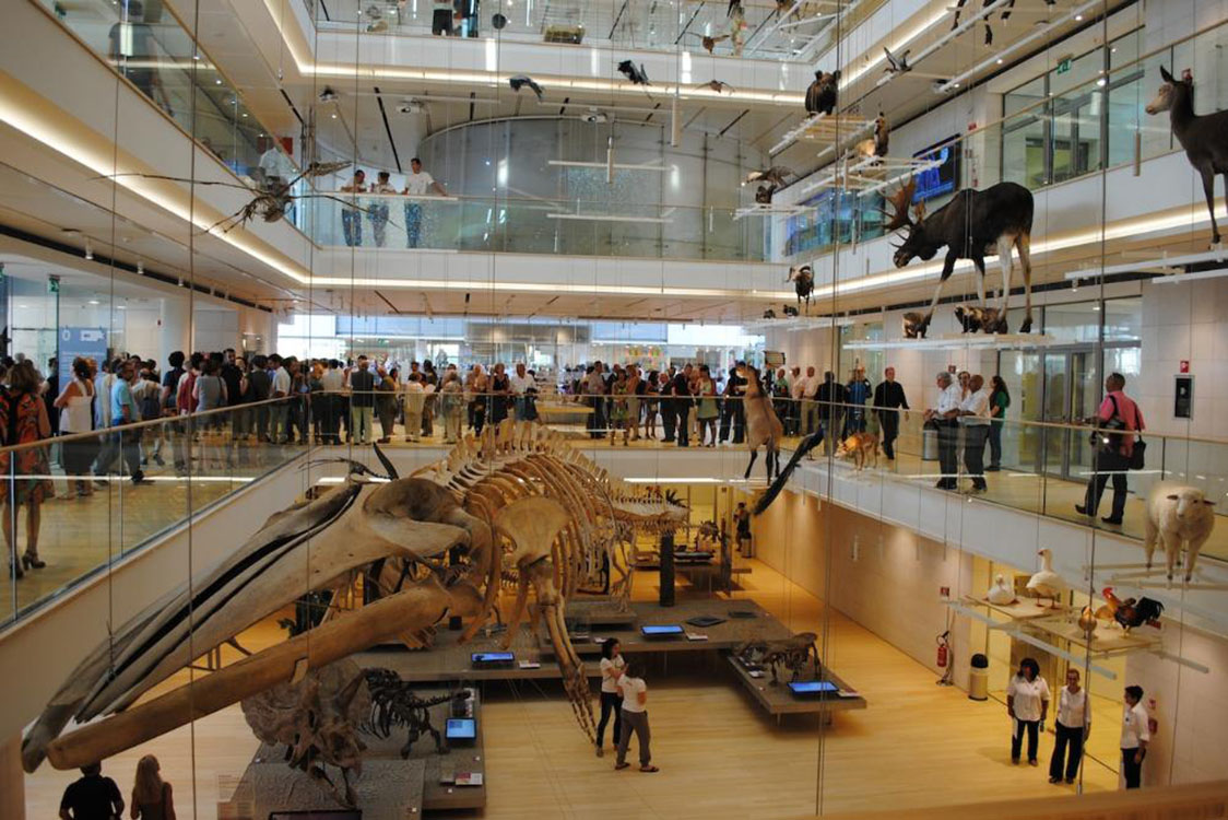 Immagine del luogo Auditorium comunale